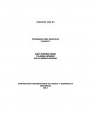 FUNERARIA PARA MASCOTAS PROYECTO PICE III