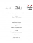 OFERTA Y DEMANDA AGREGADA