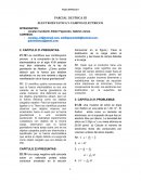 ELECTROESTATICA Y CAMPOS ELECTRICOS PARCIAL DE FÍSICA III