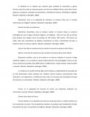 El atletismo es un deporte que involucra gran cantidad de movimiento y gestos técnicos