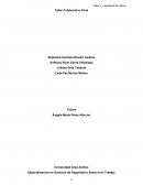 Especialización en Gerencia de Seguridad y Salud en el Trabajo