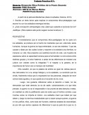 ¿Qué concepción antropológica cree usted que sustenta el accionar de Ivo?
