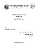 Actividad de aplicación Orientacion psicologica