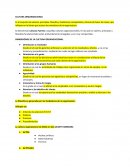 DIMENSIONES DE LA CULTURA ORGANIZACIONAL