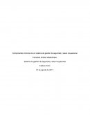 Componentes mínimos de un sistema de gestión de seguridad y salud ocupacional