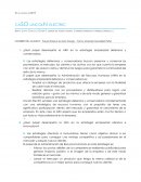 Ejercicio practico caSO lincolN electric