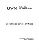 Disciplinas del derecho en Mexico