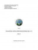 EVALUACIÓN DEL CONTROL INTERNO SEGÚN CRITERIOS COSO I, II Y III