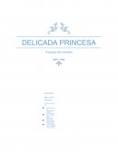 PROYECTO DE INVERSION empresa DELICADA PRINCESA S.R.L
