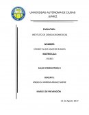 NIVELES DE PREVENCIÓN SALUD COMUNITARIA