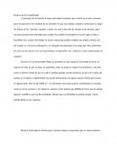 Ensayo de Historia de la Contabilidad