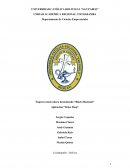 Empresa innovadora denominada “Black Diamond”