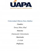 Elementos Identificados Dentro del Curso: Orientación Universitaria