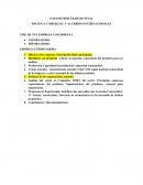 PARAMETROS TRABAJO FINAL POLITICA COMERCIAL Y ACUERDOS INTERNACIONALES