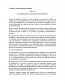 Lectura 3 PLANIFICACION Y ANALISIS DE PUESTOS
