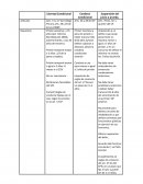 Primer Condena a pena de prisión o haber transcurrido 8/10 años
