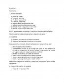 Balance general para la contabilidad y la estructura financiera para los bancos