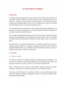 POR QUE SE DA EL MALTRATO ANIMAL