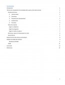 Como son las Técnicas de recopilación de necesidades del usuario y del sistema actual