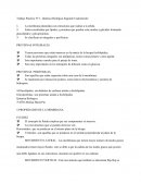 Trabajo Practico Nº 1- Química Biológica Segundo Cuatrimestre