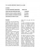 USO DEL MECHERO Y ENSAYO A LA LLAMA