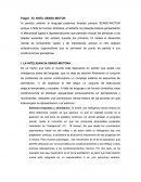 Piaget - EL NIVEL SENSO-MOTOR