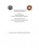 Actividad 2 “Principios básicos de la naturaleza”