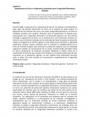 Apropiaciones de tierra e implicancias potenciales para la Seguridad Alimentaria Mundial