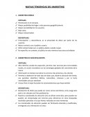 NUEVAS TENDENCIAS DEL MARKETING - VENTAJAS Y DESVENTAJAS