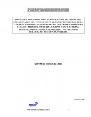 PROYECTO EJECUTIVO PARA LA SUSTITUCION DE TUBERIA DE AGUA POTABLE DEL TANQUE GM-19