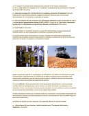 Parcial 1 derecho y legislacion ambiental