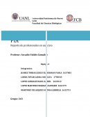 Identificación de actividades profesionales y de los espacios donde se realiza