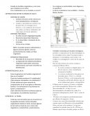 Cuando se desarrolla una estrecha zona de grano fino, en el margen de un intrusivo, o un cocimiento de la roca de caja, ambos son buenos indicadores del origen ígneo del cuerpo plutónico.