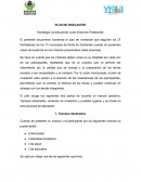 PLAN DE NIVELACIÓN Estrategia Construyendo Junto Entornos Protectores