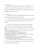 Higiene y seguridad Nicro Bolta S.A de C.V.