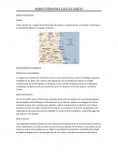 Indios Huastecos Referencias Arqueológicas