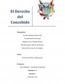 Derecho politico. El Derecho del Concebido