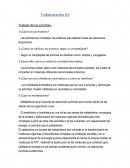 Trabajo practico nº1 Trabajo de las enzimas