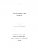 Un pequeño Resumen del libro Colombia a pesar de si misma