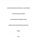 Análisis y Desarrollo de Sistemas de información Instrumentos de Recolección de Datos - Caso de Estudio