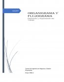 ORGANIGRAMA y FLUJOGRAMA