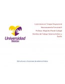 Neuroanatomía Funcional II