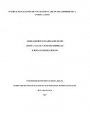 INTERNACIONALIZACIÓN DE PANTALONES CLASICOS PARA HOMBRE DE LA EMPRESA LIDER