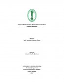 Sistemas Operativos y un Ensayo sobre la estructura de los sistemas operativos.
