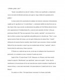 ¿Patadas,golpes y paz?