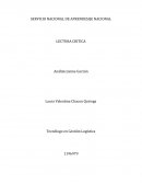 Análisis informe espacial