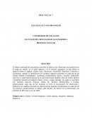 PRACTICA No. 7 LAS CELULAS Y SUS ORGANELOS