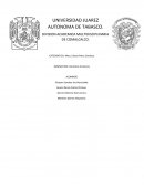 EN QUE CONSISTE LA DIVISION ACADEMICA MULTIDISCIPLINARIA DE COMALCALCO.