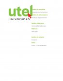 COMO SON LAS GRANDES COMPETENCIAS MUNDIALES