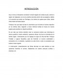 Nombre del Atractivo: Laguna Sausalito, Comuna Viña del Mar, Provincia de Valparaíso, Región de Valparaíso, Chile